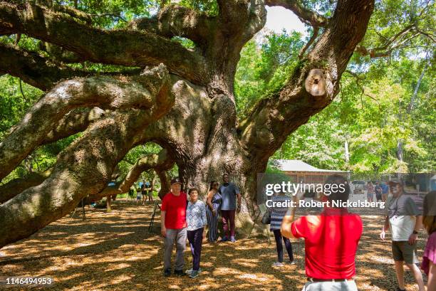 Tourists have their pictures taken while visiting the Angel Oak Tree on Johns Island, South Carolina on April 25, 2019. The Angel Oak Tree stands...