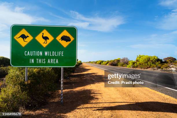 an australian wildlife sign, depicting a kangaroo, an emu and an echidna, situated next to the indian ocean road in western australia, australia. - road australia stockfoto's en -beelden