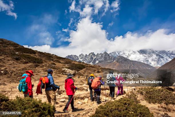 trekkers walk to final destination - everest base camp. - himalayas stock pictures, royalty-free photos & images