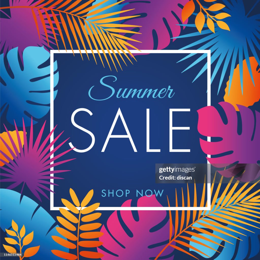 Summer tropical sale banner with palm leaves and exotic plants.
