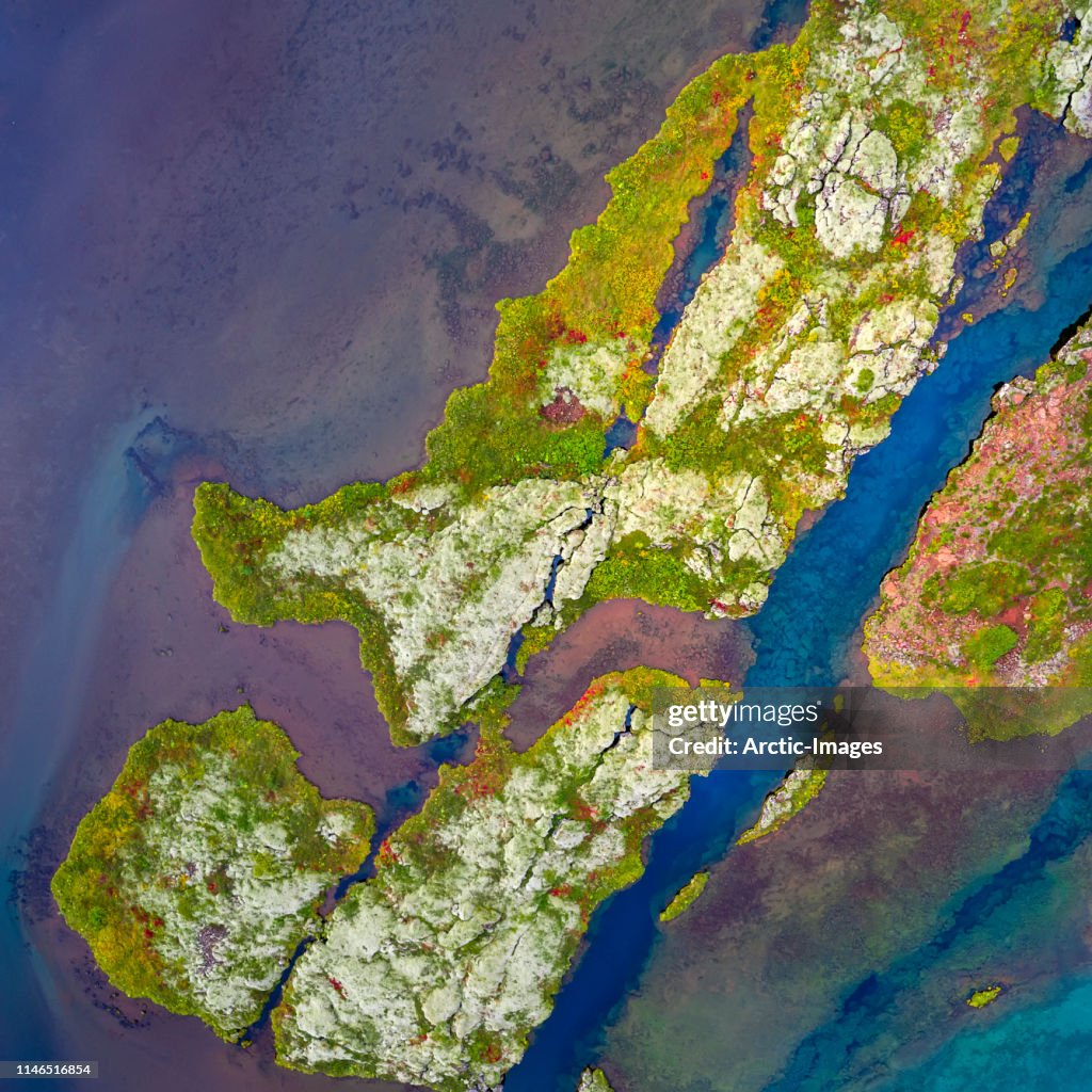 Aerial - Lava and moss- Thingvellir National Park, Iceland