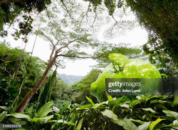 piggy bank rain forest hidden savings - green inspiring backgrounds fotografías e imágenes de stock