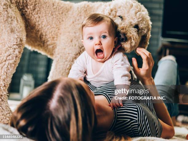 young mother and baby girl play time - family with pet stock pictures, royalty-free photos & images
