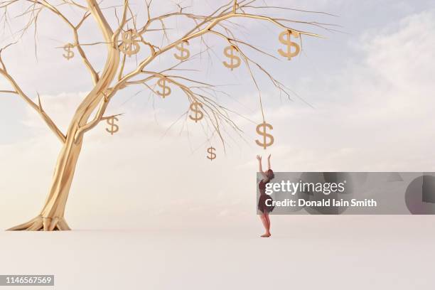 money tree concepts: woman reaches up for golden dollar fruit - low hanging fruit stockfoto's en -beelden