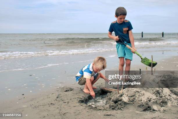 les enfants construisent le château de sable à la plage - digging beach photos et images de collection