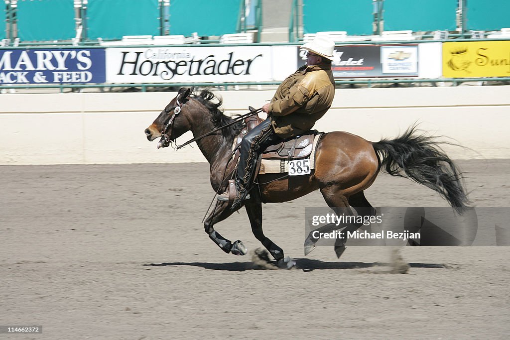 William Shatner at Reigning Competition at the Del Mar Equestrian Center