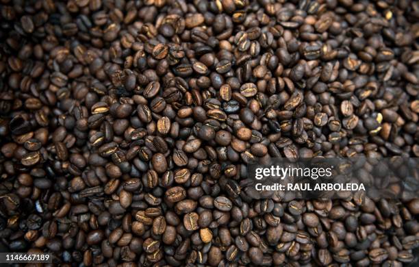View of coffee grains in Santuario municipality, Risaralda department, Colombia on May 12, 2019. - The coffee crisis is affecting small producers,...