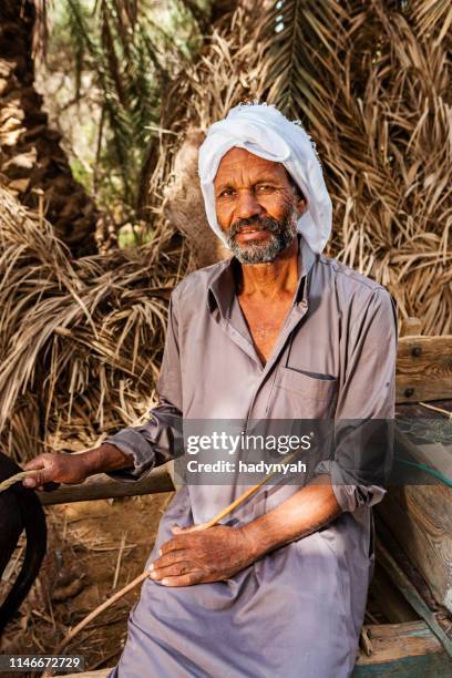 homem muçulmano com carro do burro, oásis de siwa, sahara - sudão - fotografias e filmes do acervo
