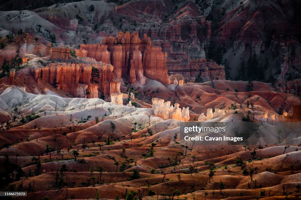 Light on Hodoos in Bryce Canyon NP