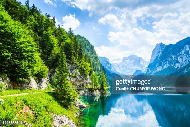 gosausee with dachstein view - european alps - austria summer stock pictures, royalty-free photos & images