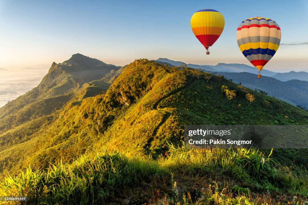 Aerial view from colorful hot air balloons flying over with the mist at Pha Tung mountain in sunrise time