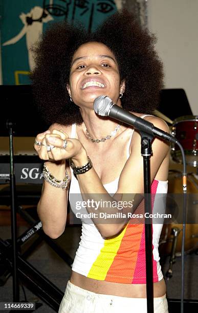 Staceyann Chin during Marc Shaiman and Scott Wittman Host a Gala for LIVE OUT LOUD at Chelsea Art Museum in New York City, New York, United States.