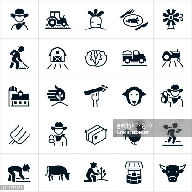 ilustrações, clipart, desenhos animados e ícones de ícones do cultivo e da agricultura - cowboy hat