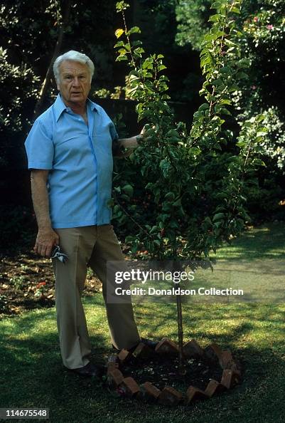 Eddie Albert Portrait Eddie Albert Portrait