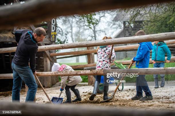 Cleaning Stables Photos and Premium High Res Pictures - Getty Images