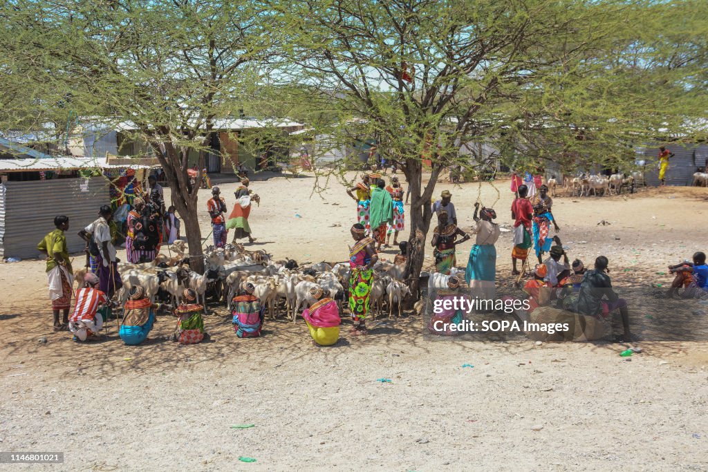 Locals are seen under a tree at a livestock market in a town...