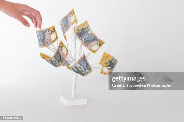 money tree using australian currency - 50 dollars stock pictures, royalty-free photos & images