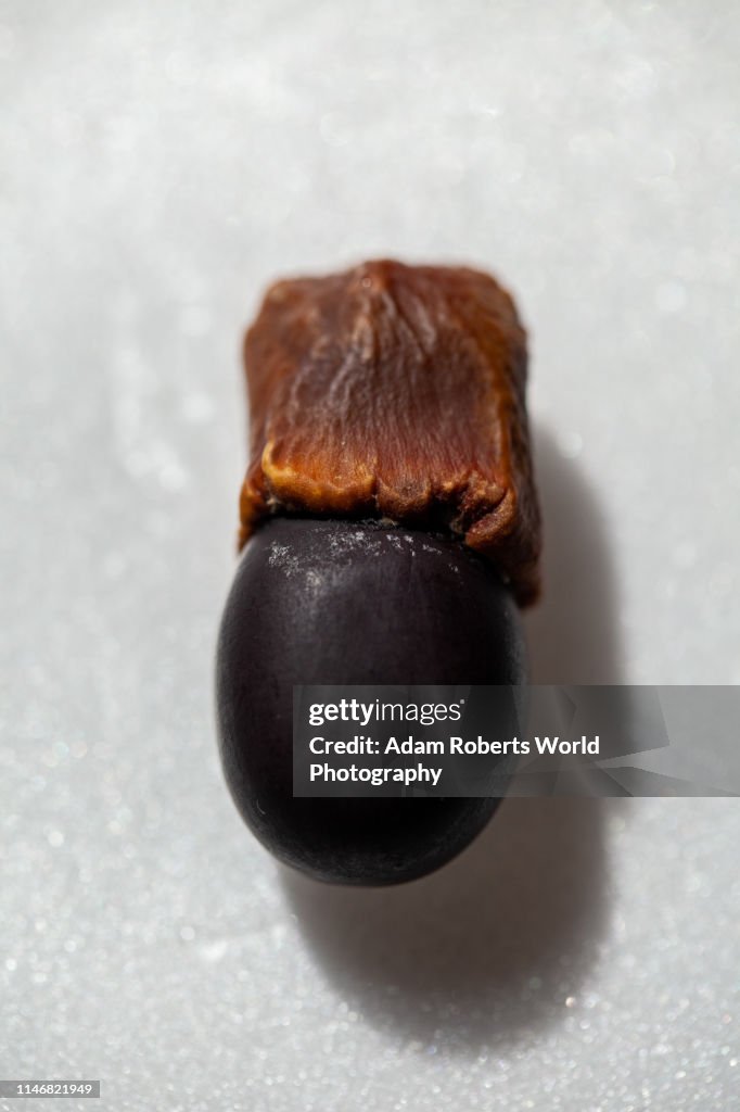 Afzelia xylocarpa (Beng) black endangered tree seed on white background