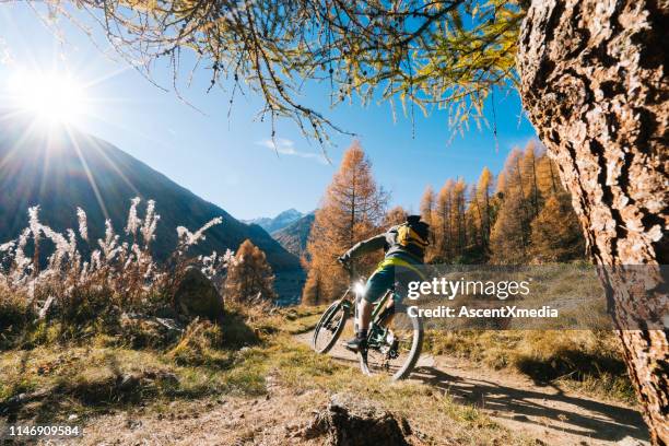 mountainbiker fährt auf grasbewachsenen pisten - lombardei stock-fotos und bilder