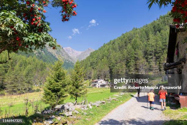 family towards rifugio valmalza, valcamonica, italy - ponte di legno stock pictures, royalty-free photos & images