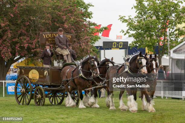 Heavy horse turnout show team display during the annual Suffolk Show on the 29th May 2019 in Ipswich in the United Kingdom. The Suffolk Show is an...