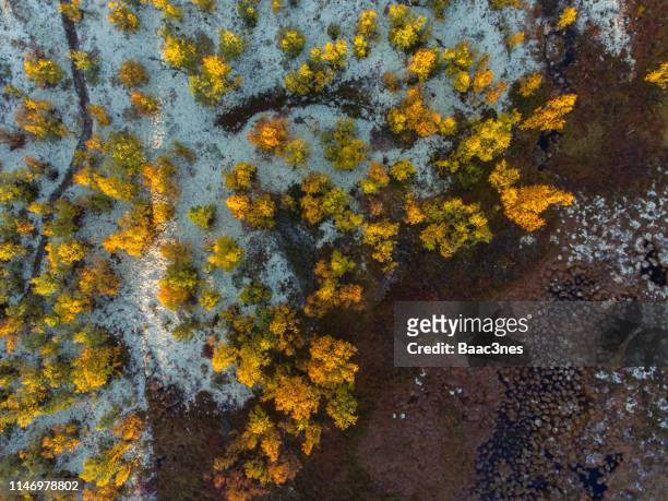 aerial image - autumn has arrived at rondane mountain - rondane national park stock pictures, royalty-free photos & images