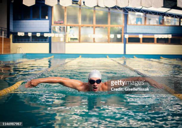 プールで泳いでいる自信のある男 - backstroke ストックフォトと画像