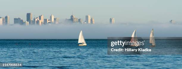 sailboats in san francisco bay - bucht-von-san-francisco stock-fotos und bilder