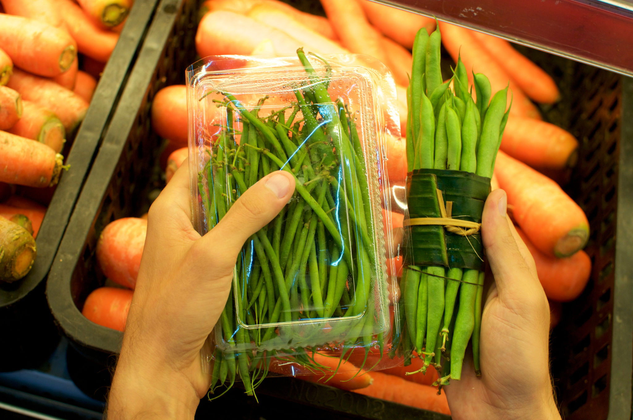 sustainable choice
