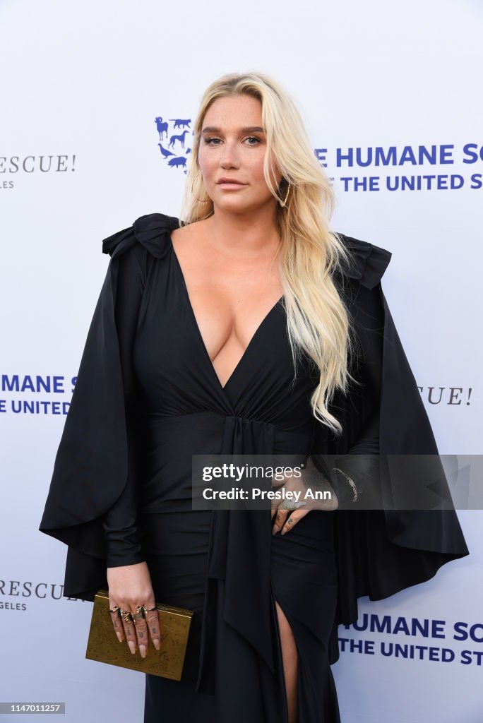 The Humane Society Of The United States To The Rescue! Los Angeles Gala 2019 - Arrivals