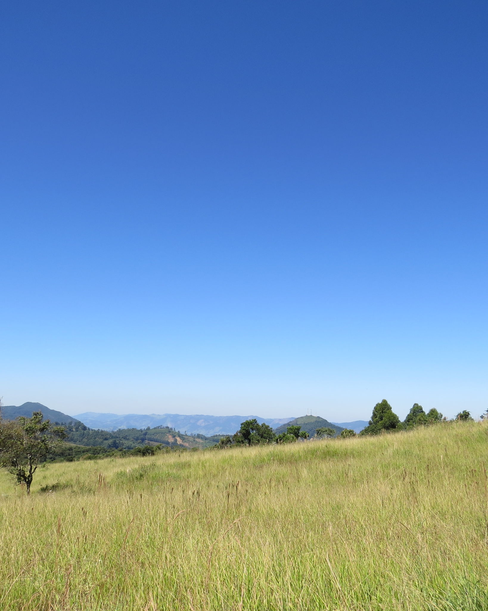 musangala landscape