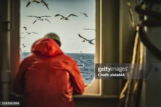 pêcheur regardant la mer sur le pont de bateau de pêche - pêcheur photos et images de collection