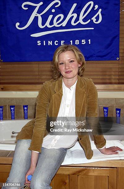 Gretchen Mol during 2003 Park City - The Motorola and Air Party - Party at The Motorola House in Park City, Utah, United States.