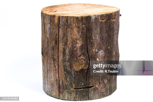 wood log isolated on a white background - baumstumpf stock-fotos und bilder
