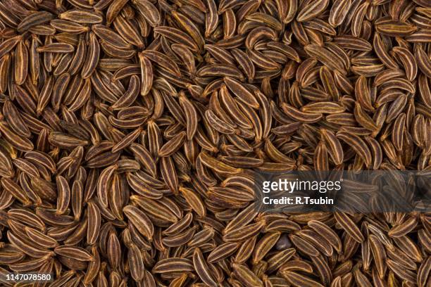 pile of dry caraway seeds - cumin - fotografias e filmes do acervo