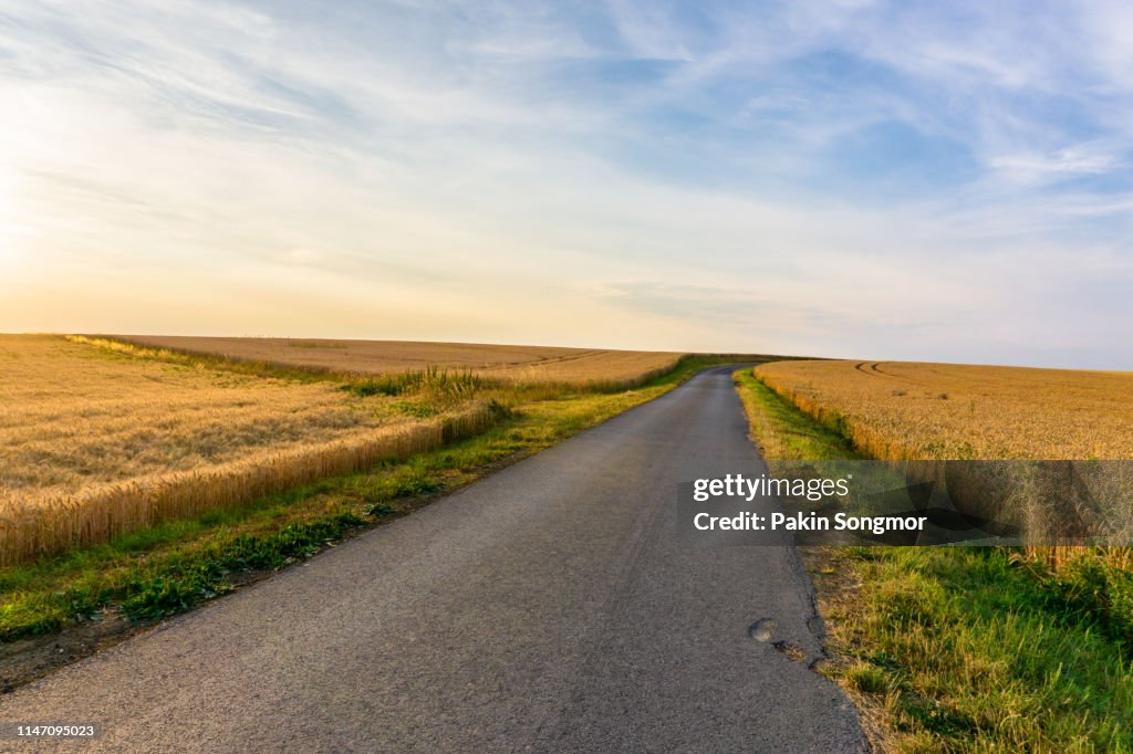 Beautiful sunset over wheat field