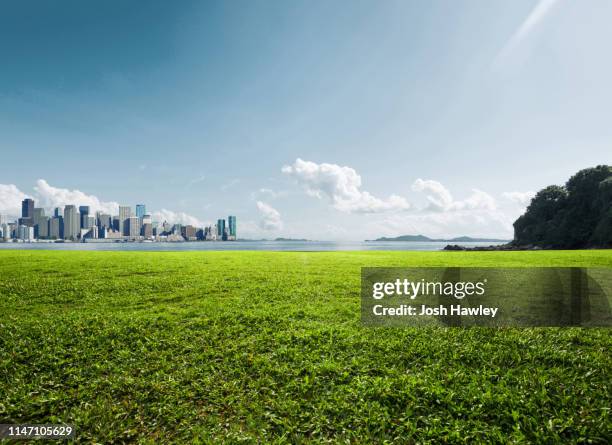 city park grassland - park panoramic stock pictures, royalty-free photos & images