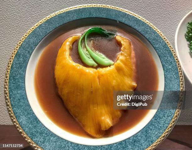 braised shark fin, luxury chinese dish, food model - japanisch chinesische küche stock-fotos und bilder