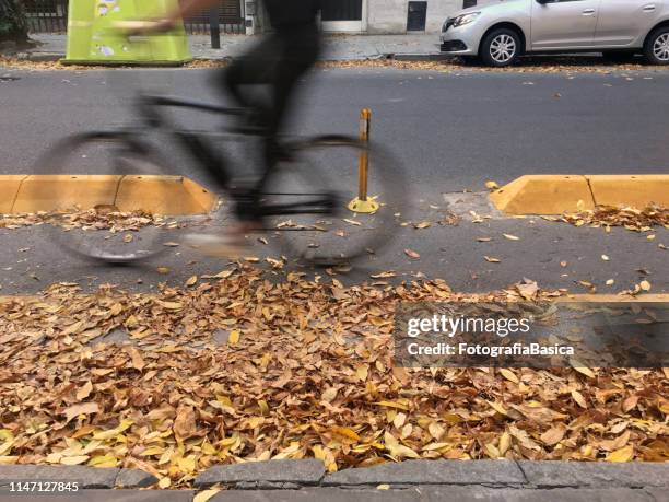 herbstlaub auf fahrradspur - palermo buenos aires stock-fotos und bilder