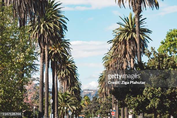 beroemde palmbomen road, hollywood-teken in de achtergrond - mulholland drive stockfoto's en -beelden