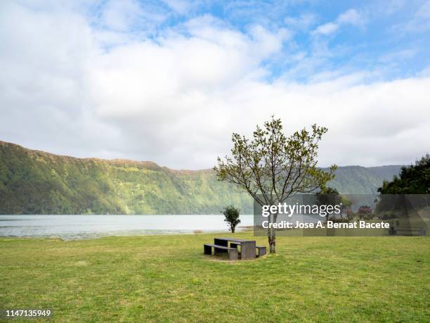 wooden bench and table of picnic at a public nature park next to the shore of a lake. - rest area stockfoto's en -beelden