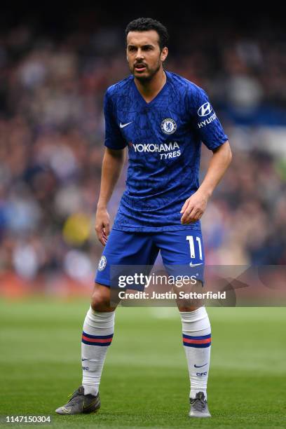 Pedro of Chelsea during the Premier League match between Chelsea FC and Watford FC at Stamford Bridge on May 05, 2019 in London, United Kingdom.