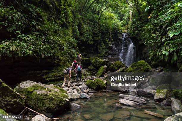 small group of people at the waterfall - ecuador stock pictures, royalty-free photos & images