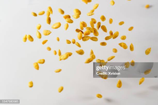 fried sun flower seeds covered with flour jump in mid air captured with high speed sync. - sesam stock-fotos und bilder