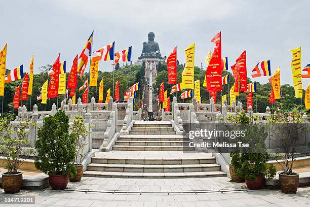 di tan and tian tan buddha, hong kong - buddha's birthday stock pictures, royalty-free photos & images