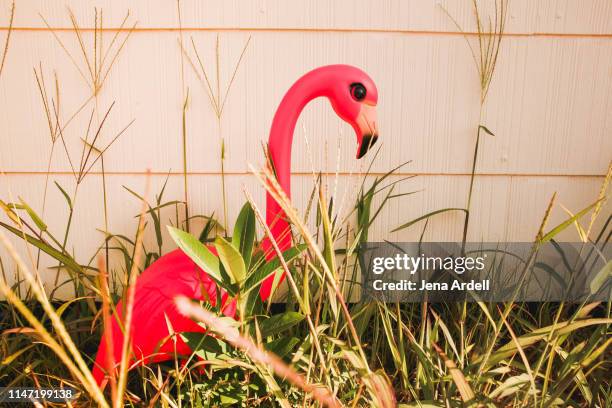 plastic lawn flamingo, plastic flamingo, pink flamingo, kitsch - plastic flamingo stock pictures, royalty-free photos & images