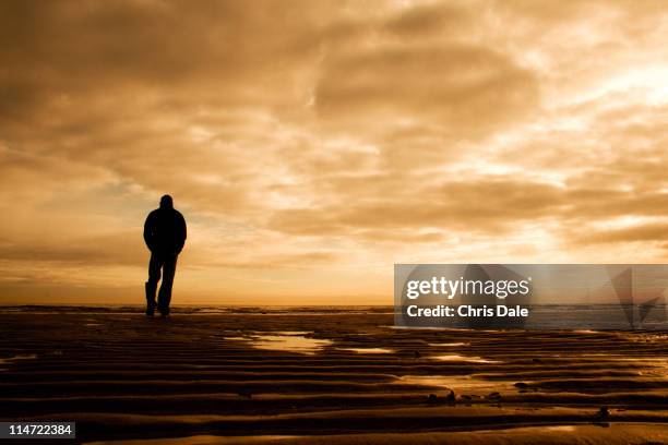 watching ships come - fife stock pictures, royalty-free photos & images