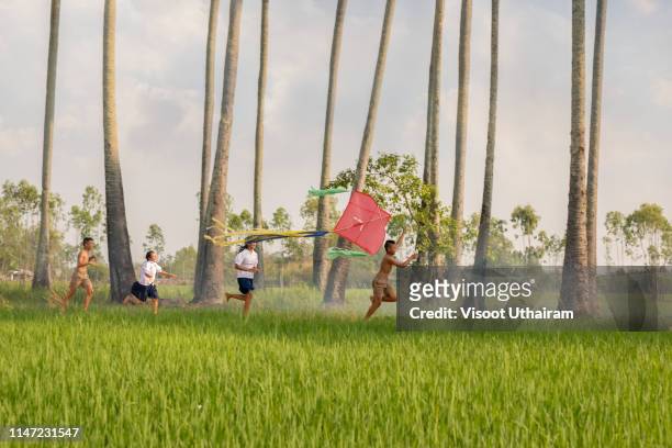 asian children farmer flying a kite in the rice field. - indonesian kite stock pictures, royalty-free photos & images