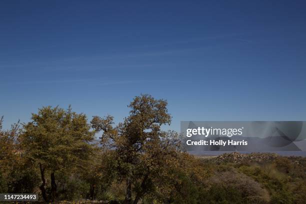 view of oracle state park from a distance - state-parks stock pictures, royalty-free photos & images