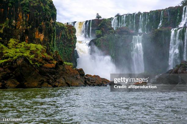 ıguacu waterfalls - iguacu nationalpark stock-fotos und bilder
